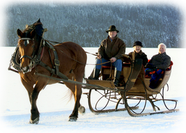 Pferdeschlittenfahrt rund um Wackersberg